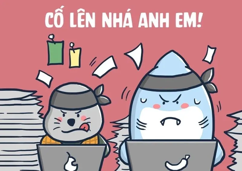 Hình ảnh hài cute với sức hút mạnh mẽ, lan tỏa cảm xúc tích cực và niềm vui